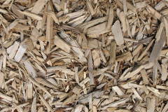 biomass boilers Pentirvin